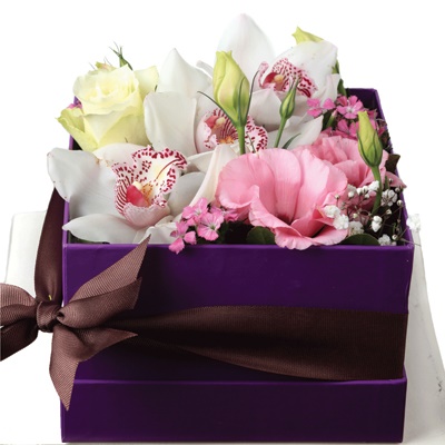 Cymbidium Orkide & Beyaz Güller