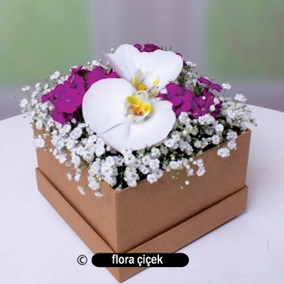 Kutuda Orkide&Kır Çiçekleri