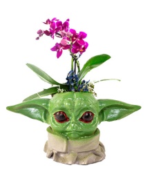 Yoda Pembe Orkide