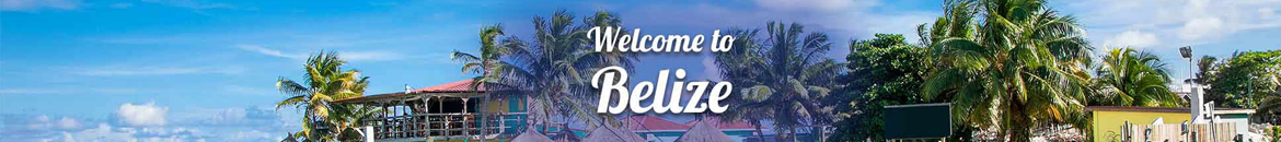 Belize çiçek siparişi  ,  Belize çiçek gönder , Flora çiçek Türkiye gaeantisiyle
